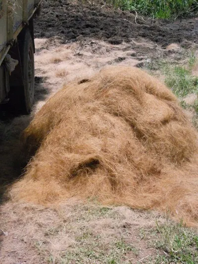 Coconut Fiber / Coconut Coir by PT Zaman Trans Indonesia