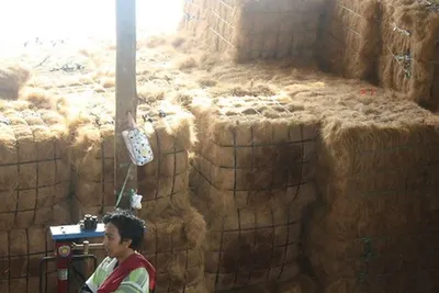 Coir / Coconut Fiber