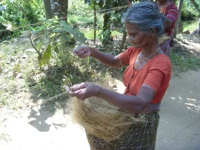 Coco Fiber