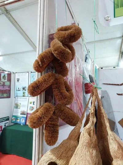 Coconut Fiber