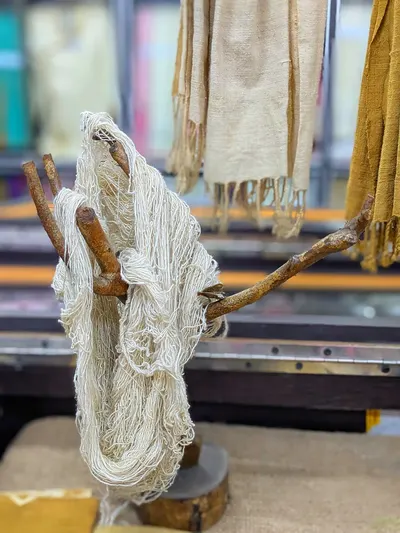 Silk Spinning