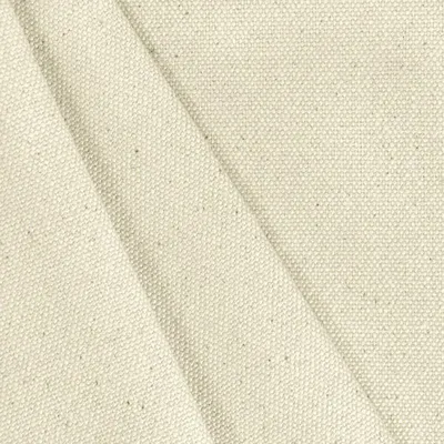 Cotton Canvas