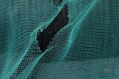 Fishing Net