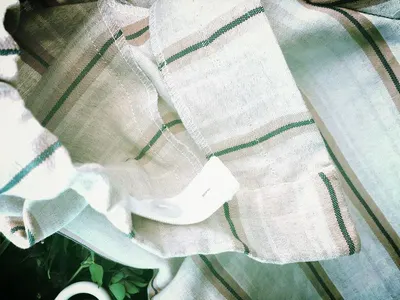 Sweet fly horse rug Green by New Global Saddlery And Footwear Exports