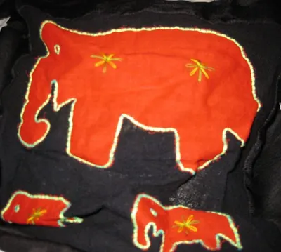 African Night Crawler