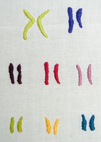The kiss hand embroidery art painting wall décor