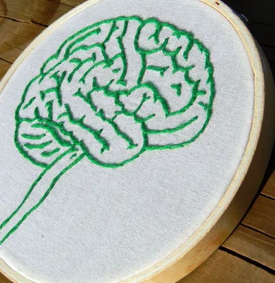Medical Brain Model