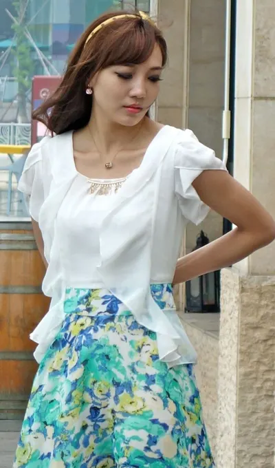 Ladies Chiffon Blouse