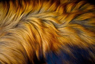Rabbit Fur Coat