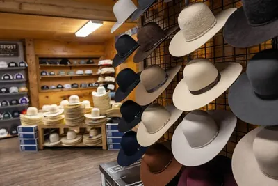 Straw cowboy hats