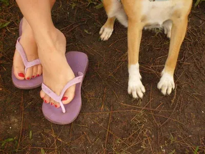 Ladies shoes