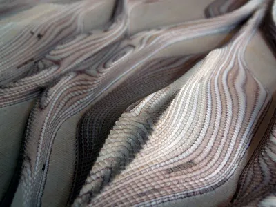 Knitted Elastic Webbing Applied to Garment