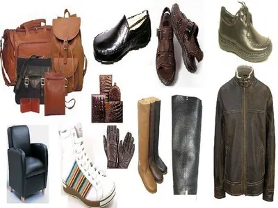 Leather Jacket or Shoes or Bag