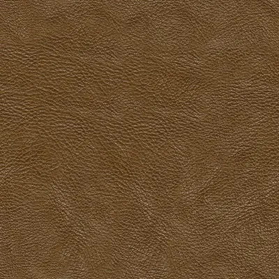 Aristone Brown by Lenora Vitrified LLP