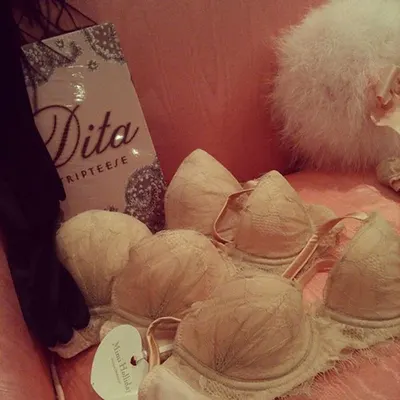 Panties