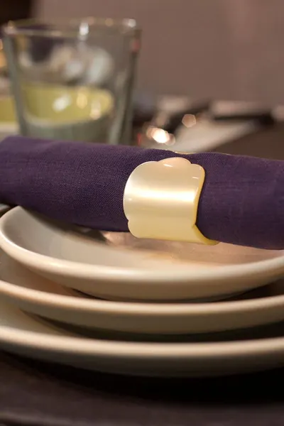 AT102 Napkin Ring