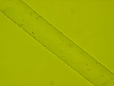 Squeegee