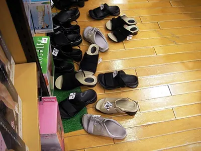Garden clogs
