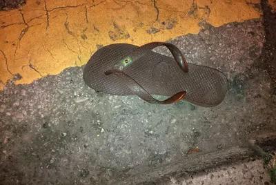 Sandal - Image 3