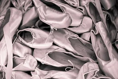 Filter Bags