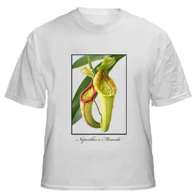 Half sleeve t-shirt