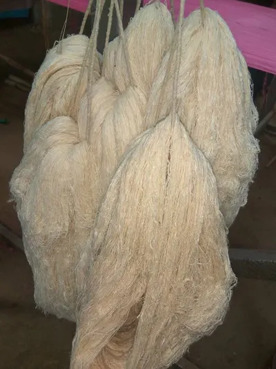 Kapok Fiber