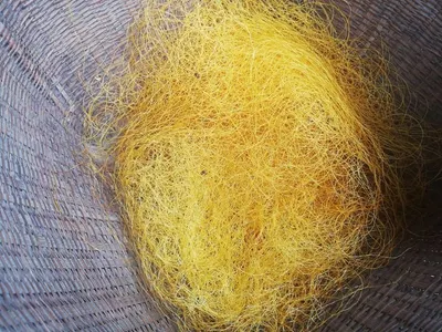 Nylon multifilament fishing net