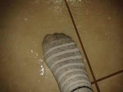 Anckle Socks