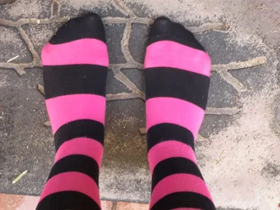 Socks