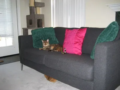 Yishen-Household Spandex Sofa Cover