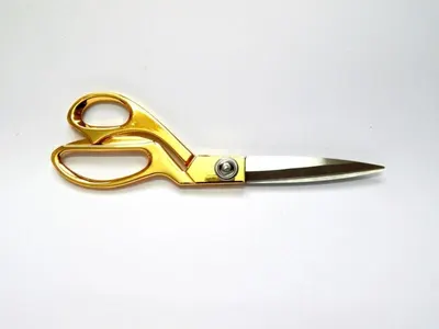 SS Dressing Scissors (5 Inch)