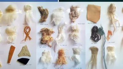Goat skin