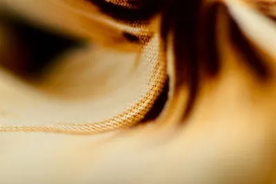 Banana Fiber