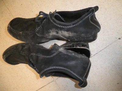Women's dress boots