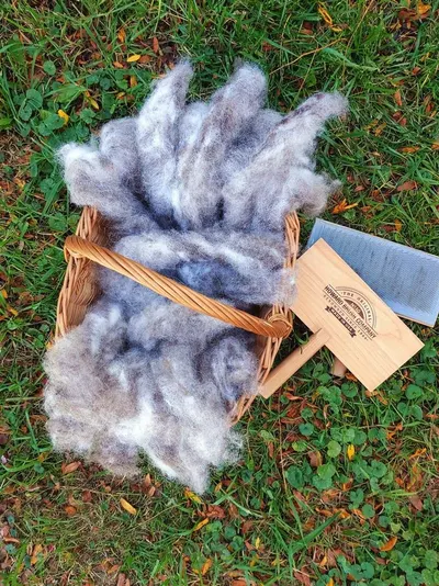 Merino Wool Fiber