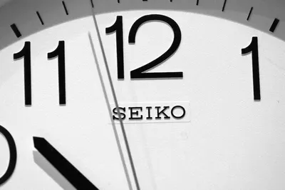 Seiko gs-508 greyscale print head