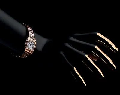 Stainless steel lady watches