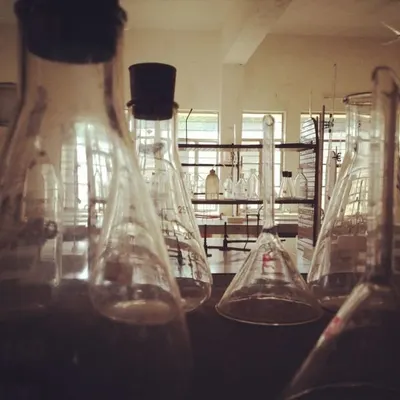 Ferulic Acid Power by Appchem