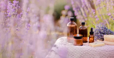 Lavender Body Massage Oil by Shiv Sales Corporation
