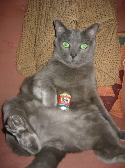 Chat Masala