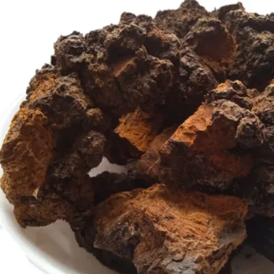 Chaga Mushroom Inonotus obliquus Dried Medicinal plants by Farming PhytoAzov