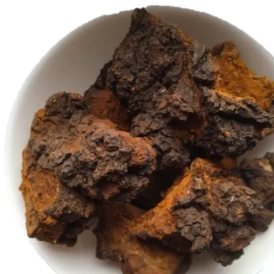 Chaga Mushroom Inonotus obliquus Dried Medicinal plants - Image 2