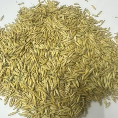 OATS by LLC INTELLICOMMODITY