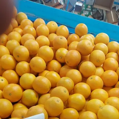 oranges by Egitra
