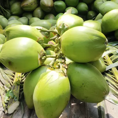Vigneshwaran - Image 2