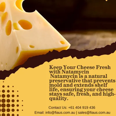 Natamycin Shield – Natural Preservative for Cheese & Beverages in Australia by Food Ingredient Australia