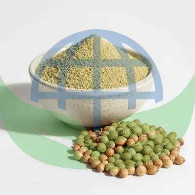 Coriander Powder by HPVALIA GLOBAL PRIVATE LIMITED
