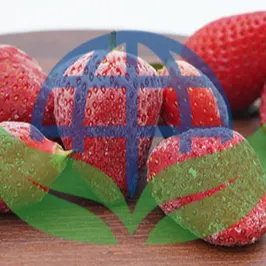 Freeze Dried Strawberry by HPVALIA GLOBAL PRIVATE LIMITED