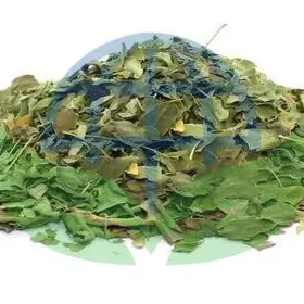 Moringa Leaves Powder by HPVALIA GLOBAL PRIVATE LIMITED