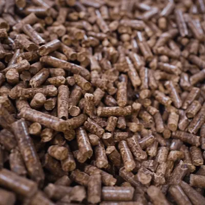 Export Quality Wood Pellets from Vietnam – Phu Tai Manufacturer by Phu Tai Joint Stock Company
